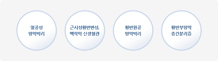 열공성 망막박리, 근시성황반변성 맥락막 신생혈관, 황반원공 망막박리, 황반부망막 층간분리증 이미지 입니다.