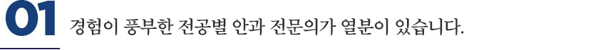 경험이 풍부한 전공별 안과 전문의가 열 분이 있습니다.
